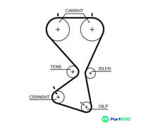 GATES TIMING BELT 5556XS FOR HYUNDAI KIA