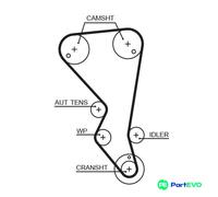 GATES TIMING BELT 5599XS FOR CITROËN PEUGEOT