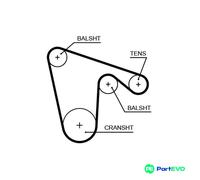 GATES TIMING BELT 5619XS FOR ALFA ROMEO LANCIA