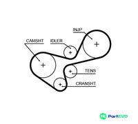 GATES TIMING BELT 5639XS