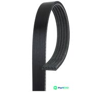 GATES V-RIBBED BELT 5PK1343 FOR LANCIA MITSUBISHI VOLVO HYUNDAI