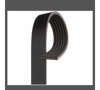 Gates V-Ribbed Belt 6PK1413