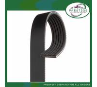 Gates V-Ribbed Belt 6PK2305