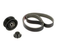 GATES K017PK1179SF V-Ribbed Belt Set