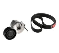 Gates K016PK1073 V-Ribbed Belt Set