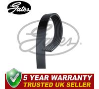 Gates V-Ribbed Belts Fits 147 156 A4 A6 Frontera - 6PK1853