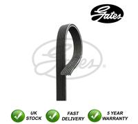 Gates V-Ribbed Belts Fits Fiat Coupe (1996-2000) 2.0 2.0 T #5842