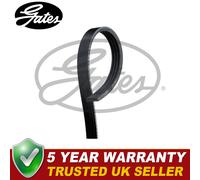 Gates V-Ribbed Belts Fits Kia Picanto Hyundai Getz Rover 100 Metro - 4PK750