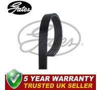 Gates V-Ribbed Belts Fits Santa Fe Trajet Magentis Space - 5PK1390