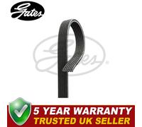 Gates V-Ribbed Belts Fits V70 S60 V40 S40 XC70 Cross Country C70 - 6DPK1838