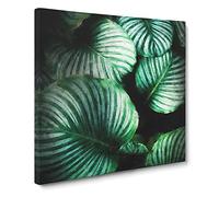 Gathered Green Plant Leaves Canvas Print | Gallery Wrapped 30mm Frame Wall Art | 20x20 inches | Ready to Hang | Abstract Floral Picture | Living Room Bedroom Lounge Office