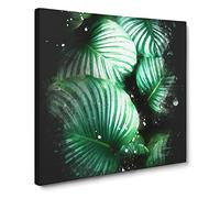 Gathered Green Plant Leaves Paint Splash Canvas Print | Gallery Wrapped 30mm Frame Wall Art | 20x20 inches | Ready to Hang | Modern Floral Picture | Living Room Bedroom Lounge Office