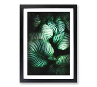 Gathered Green Plant Leaves Painting Framed Print | A2 Black Framed Wall Art | Ready to Hang | Modern Floral Picture | Living Room Bedroom Lounge Office