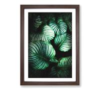 Gathered Green Plant Leaves Painting Framed Print | A2 Walnut Framed Wall Art | Ready to Hang | Modern Floral Picture | Living Room Bedroom Lounge Office