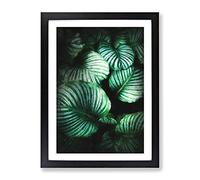 Gathered Green Plant Leaves Painting Modern Framed Print | A2 Black Framed Wall Art | Ready to Hang | Modern Floral Picture | Living Room Bedroom Lounge Office