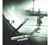 Gathering Field - Lost in America