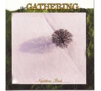 Gathering - Night Time Birds