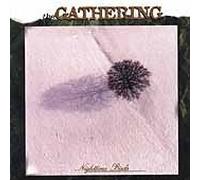 Gathering - Night Time Birds