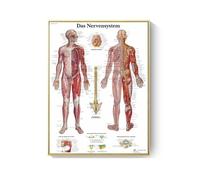 GatherTOOL 1PC Human Anatomy Muscles System Art Poster Print Body Map Canvas Wall Pictures For Science Medicine Bedroom Office Decor Painting (Color : A4, Size : No Frame 15x20cm)