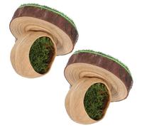 GATHINESS Jumping Spider Terrarium Decor Magnetic Walnut Wood Plastic 2pcs Multi-Purpose Ledge Shelter for Habitat Enclosure