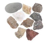 GATHINESS Science Rock Specimen Collection with Labeled Specimens and Sturdy Box for Classroom Teaching and Field Testing, for Young Aspiring Geologists