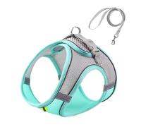 Gatito Arnes Y Correa Adjustable | Malla Arne Suave Arne De Chaleco Adjustable Para Gatos Con Correa Reflectante | Adjustable Chaleco Arne Paraa Gatos Para Gatitos, Arnné Transpirable Gatito