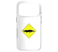 Gator Crossing Louisiana Florida Mississippi Alligator Case for iPhone 17 Pro