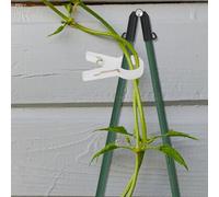 Gatuida 100pcs Plant Support Clips - Plastic Trellis Clips for Tomato Cucumber and Vine Plants Garden Fixing Clamp for Greenhouse and Outdoor White