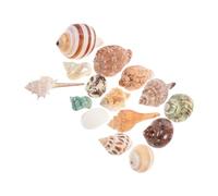 Gatuida 15pcs Decorative Beach Shells Conch Shells for Aquarium Habitat for Crabs Fish Tank Accessories Durable and Fade Resistant Landscape Ornament