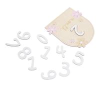 Gatuida 1Set Wooden Newborn Monthly Markers Double Sided Photo Prop Sign for Months Keepsake Announcement Cards for Memorable Moments and Nursery Decor