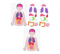 Gatuida 2 Sets DIY Human Organs Educational for High-grade Cloth Material Body Model Kit Teaching Aid for Learning Organ Names Positions Enhances Creativity Imagination