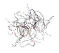 Gatuida 20 Pcs Doll Eye Lashes Strips for DIY Doll Making Black and Brown Made of Pa Nylon with Lifelike Appearance and Easy to Apply for Amigurumi Projects