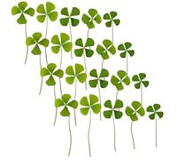 Gatuida 24Pcs Dried Pressed Four Leaf Clover Leaves 15-20Mm for DIY Crafts Resin Art Plant Specimens Natural Irish Clover for Scrapbooking Bookmarks