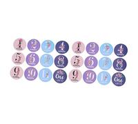 Gatuida 24pcs Flower Design Monthly Sticker Newborn Milestone Stickers for Boy Girl Safe Adorable