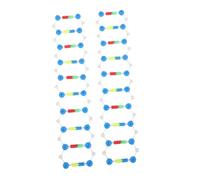Gatuida 2pcs Dna Double Helix Molecular Model Kit for Teaching Genetics Biology Classroom Use Accurate Educational Tool for Students and Science Learning
