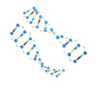 Gatuida 2pcs Dna Double Helix Structure Molecular Model Kit for Students and Educators Precise Biology Teaching Tool for Genetics and Laboratory Research Suitable for High School to