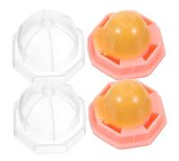 Gatuida 2pcs Edible Vitamin Catnip Lollipop Candy for Cats and Kittens Natural Cat Mint Ball Chew for Relaxation Tongue Exercise and Furniture Protection Orange Pack