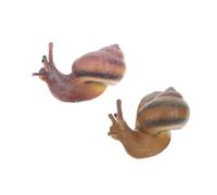 Gatuida 2pcs Lifelike Snail Figurines Realistic Simulation Animal Model Educational Cognitive for Early Learning and Collecting Snail Decoration for Fairy Gardens