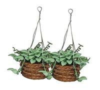 Gatuida 2Pcs Mini Bonsai Adornment for Dollhouse Realistic Artificial Potted Plants Mini Plant Pot Ornament for Home Decor and Miniature Landscaping