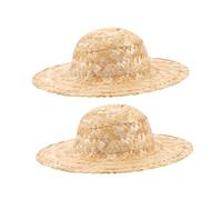 Gatuida 2pcs Mini Straw Hats Woven Doll Caps Inner DIY Craft Accessories for Hair Decorations Wedding Party Rustic Farmer Cowboy Style
