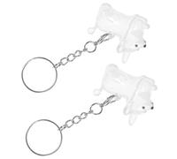 Gatuida 2pcs Pet Hair Keepsake Box Dog Hair Collection Storage Box Keepsake Jewelry Keyring Memorial Charm for Dog Urn Collection Keychain