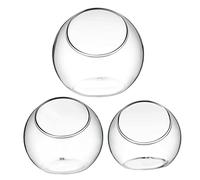 Gatuida 3Pcs Glass Terrarium Bowls Stylish Succulent Planters for Desktop Decor for Air Plants Hydroponic Displays and DIY Projects Chic Home and Office