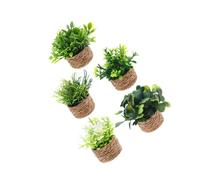 Gatuida 5pcs Miniature Bonsai Models Faux Greenery for Dollhouse Decoration No Maintenance Required Mini Home Ornament for Scenery and Photography