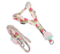 Gatuida Adjustable Pet Walking Leash Cute Fruit Print Dog Pulling Rope for Outdoor Use Lightweight and Strong Traction for Daily Walks and Parties Strawberry