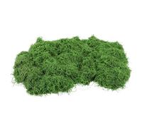 Gatuida Artificial Moss for Crafts Bag Lifelike Polyester Faux Greenery for Indoor Plants Home Office Decor Floral Arrangements Model Making No Water Needed