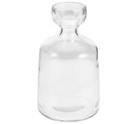 Gatuida Avocado Seed Starter Glass Vase Hydroponic Planter Small Square Plant Pot for Home Tabletop Decoration and Avocado Propagation