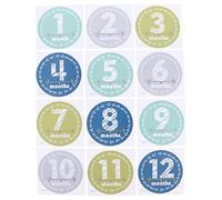 Gatuida Baby Month Sticker Monthly Plaques Paper Commemorating Baby's First Year Assorted Colour Photo Props for Girls Scrapbook