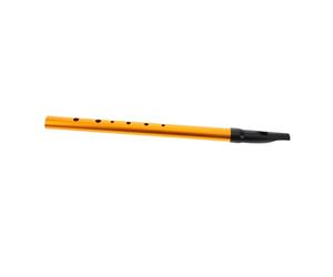 Gatuida Beginner Friendly Tin Whistle Key of D with Portable Irish Flute for Adults Easy to Play Vertical Recorder for Learning Irish Folk Music