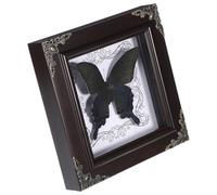 Gatuida Butterfly Display Frame: Vintage Framed Butterfly Specimen Decor with Realistic Craftsmanship Elegant Desk Ornament for Home Decor Desk Ornament and Educational Science Collection