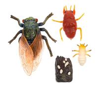 Gatuida Cicada Evolution Model for Educational Display Craft Lifelike Plastic Cicada Growth Cycle Simulation Nature Learning Tool and Decorative Science Project